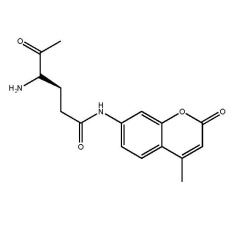γ-L-Glutamic acid 7-amido-4-methylcoumarin