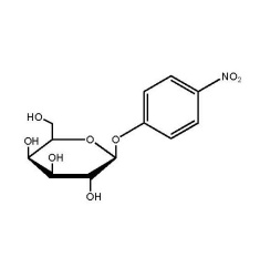 p-Nitrophenyl beta-D-galactopyranoside