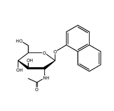 1-Naphthyl N-acetyl-beta-D-glucosaminide