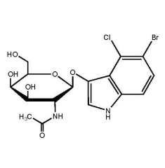 5-Bromo-4-chloro-3-indolyl N-acetyl-beta-D-galactosaminide