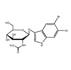5-Bromo-6-chloro-3-indoxyl N-acetyl-beta-D-glucosaminide