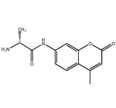 D-Alanine 7-amido-4-methylcoumarin free base