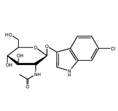 6-Chloro-3-indolyl N-acetyl-beta-D-glucosaminide