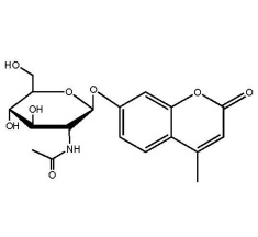 4-Methylumbelliferyl N-acetyl-beta-D-glucosaminide