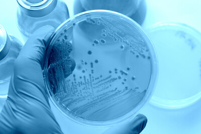 Fluorogenic Substrates