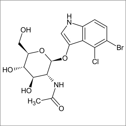 5-Bromo-4-chloro-3-indolyl N-acetyl-beta-D-glucosaminide