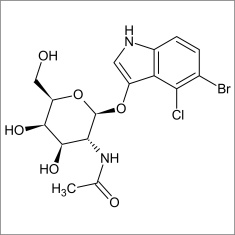 5-Bromo-4-chloro-3-indolyl N-acetyl-beta-D-galactosaminide