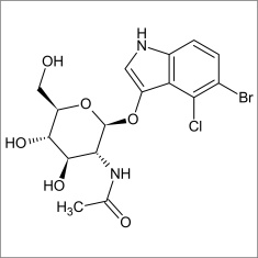 5-Bromo-4-chloro-3-indolyl N-acetyl-beta-D-galactosaminide