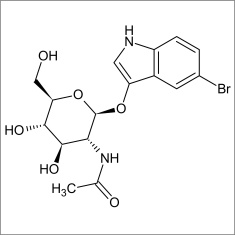 5-Bromo-3-indolyl N-acetyl-beta-D-glucosaminide