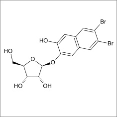 6,7-Dibromo-2,3-Dihydroxynaphthalene beta-D-ribofuranoside