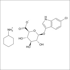 6-Chloro-3-indolyl beta-D-glucuronide cyclohexylammonium salt