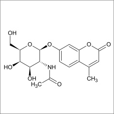 4-Methylumbelliferyl N-acetyl-beta-D-galactosaminide