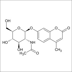 4-Methylumbelliferyl N-acetyl-beta-D-glucosaminide